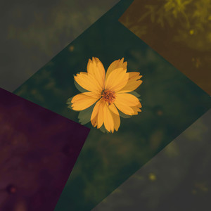 It's All Love (Explicit)