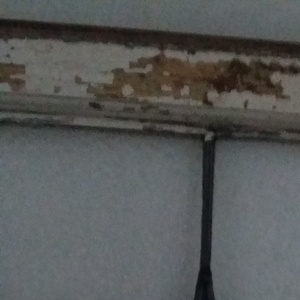 비 오는 날에 (在下雨的日子) (口白)