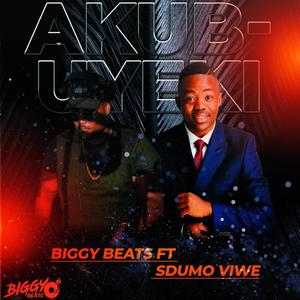 Akubuyeki (feat. Sdumo Viwe)