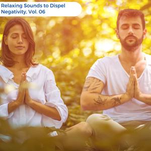 Relaxing Sounds To Dispel Negativity, Vol. 06