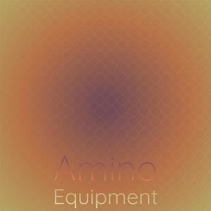 Amino Equipment