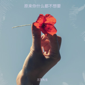 原来你什么都不要