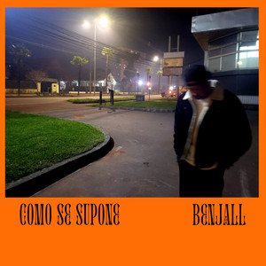 Como Se Supone (Explicit)