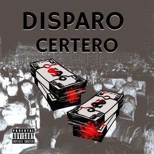 Disparo Certero