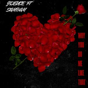 WHY YOU DO ME LIKE THAT (feat. SAMBAM) (Explicit)