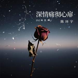 深情痛彻心扉 (DJ浩然版)