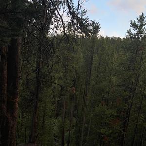 fleshrats (feat. WHXLE & Moedem) (Explicit)