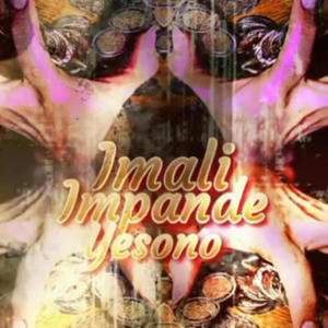 Imali Impande Yesono (feat. Barajas James & Spinzo) [Radio Edit]