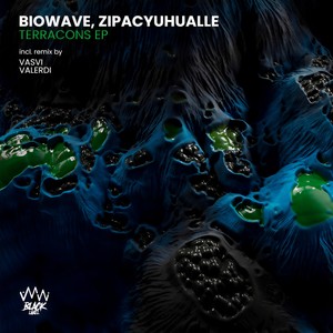 Terracons (Vasvi Remix)