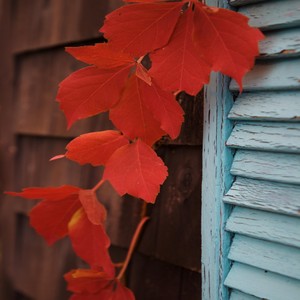 James Williams - Loan Demperiz
