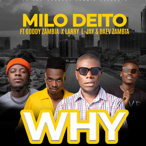 Milo deito - Why
