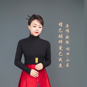 情已破碎爱已成灰DJ