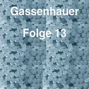 Gassenhauer Vol. 13