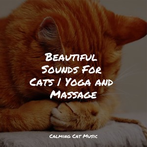 Anxiety Relief