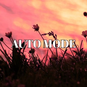 Auto Mode