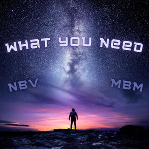 What you need (feat. Lucca V) [Explicit]