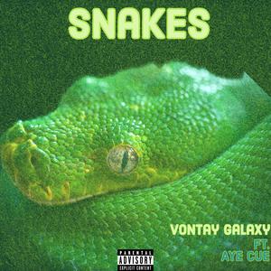Snakes (feat. Aye Cue) (Explicit)