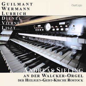 Organ Symphony No. 3 in F-Sharp Minor, Op. 28 - V. Final