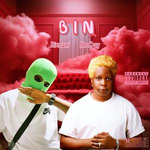 Bin (Explicit)