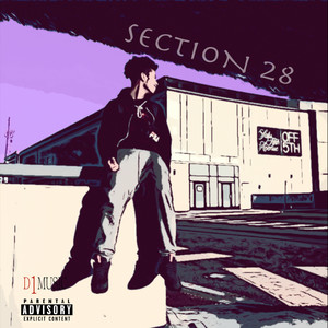 Section 28 (Explicit)