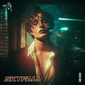 skyfall (slowed + reverb)