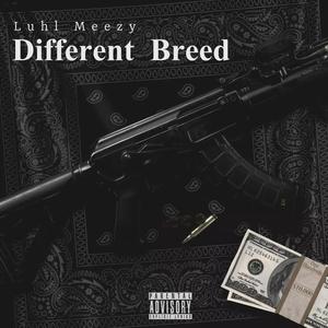 Different Breed (Explicit)