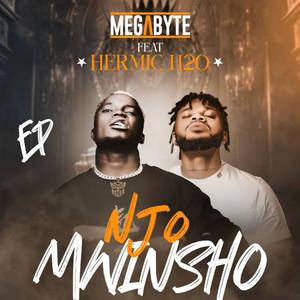 Njo Mwinsho (feat. Mega Byte) (Explicit)