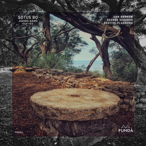 Own to Believe (Restive Plaggona Remix)