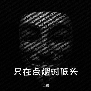 尘辰 - 只在点烟时低头