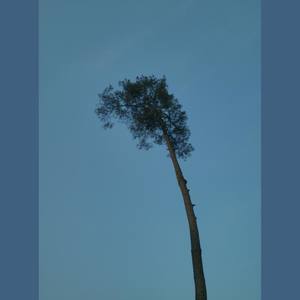 未命名