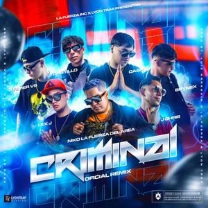 Criminal (feat. Krimer VS, Lex J, J Chris La Exponcia, Dash O., Brynex & Castillo) [Remix]