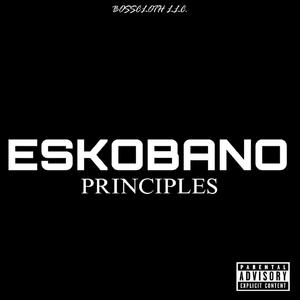 Principles (Explicit)