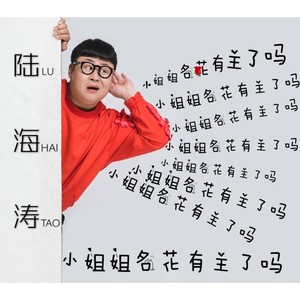 陆海涛 - 小姐姐名花有主了吗