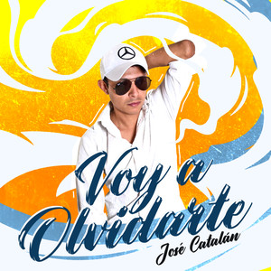 Voy a Olvidarte