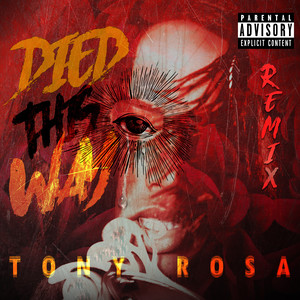 Died This Way (Extended Remix)