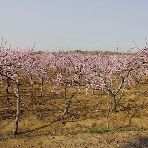 不负年华度春秋