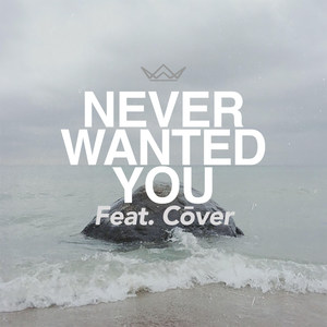 Never Wanted You (feat. Cōver)