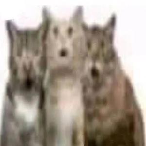 TERMINATORS (feat. backw666s & uncensorable) (Explicit)