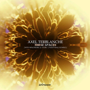 These Spaces (Push'n'Ball Remix)