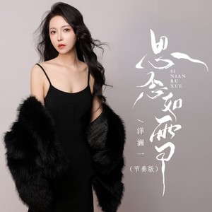 思念如雪 (节奏版)