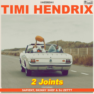 2 Joints (Explicit)