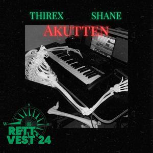 Siste Dans (Rett Vest) (feat. Shane & Thirex)