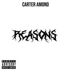 Reasons (Explicit)