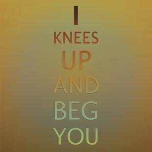 I knees up and beg you