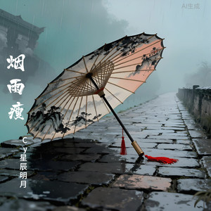 烟雨瘦封面