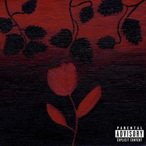 Quai de Montebello (feat. Locoboy & Soluza) (Explicit)