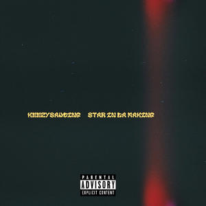 Star In Da Making (Explicit)