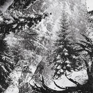 Moon (feat. Y8TI) (Explicit)