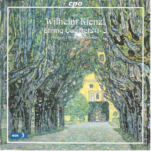 String Quartet No. 2 in C Minor, Op. 99 - String Quartet No. 2 in C Minor, Op. 99: IV. Moderato - Allegro comodo e leggiero