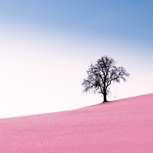 Wonderland